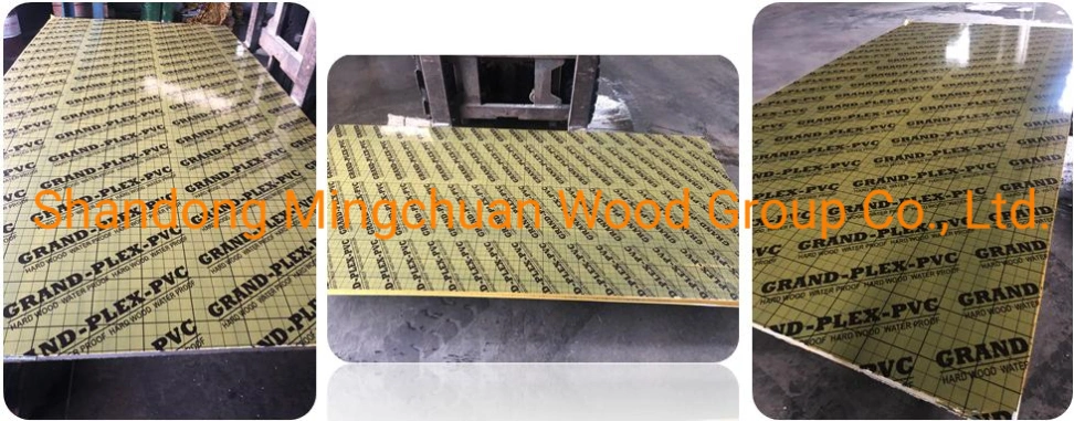 18mm Plastic PP Film Faced Plywood PVC Board Building Materials Combi Plywood