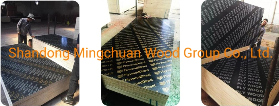 Plastic Coated Plywood PVC Plywood Combi Core 18mm Green PP Film Faced Plywood