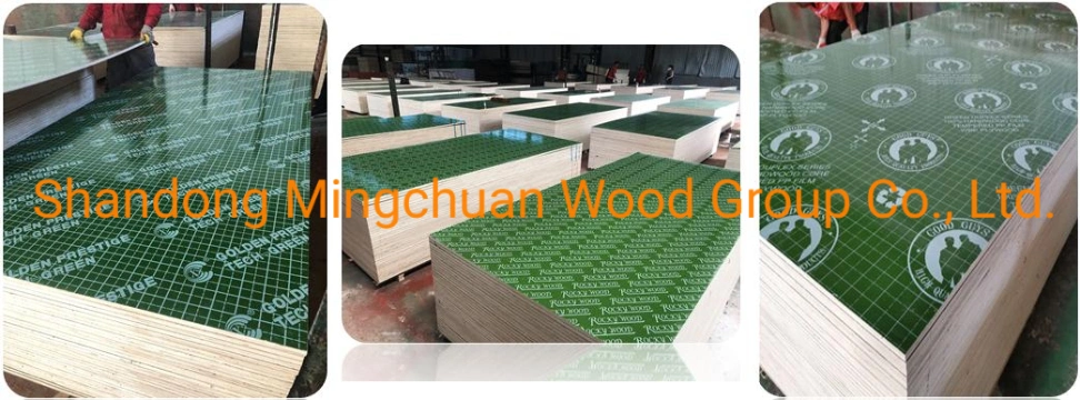 Formwork Plywood Green PP Hardwood Core Plywood PVC Film Faced Plywood