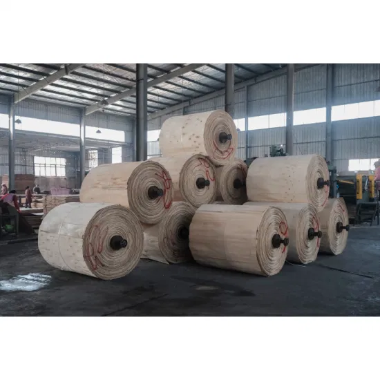 Melamine Plywood Melamine Paper White Faced Popar/Combi/Hardwood Core Commercial Plywood
